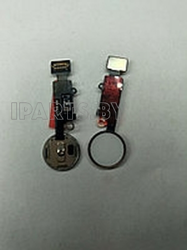 Шлейф для iPhone7 (4,7") Home Button+Home БЕЛЫЙ/КРАСНОЕ ЗОЛОТО