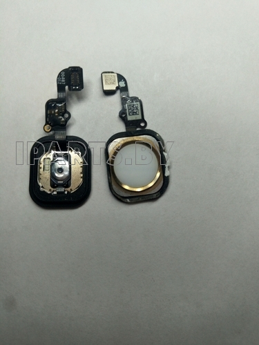 Шлейф для iPhone6S (4,7") Home Button+Home БЕЛЫЙ/ЗОЛОТО NEW (821-00487-A)