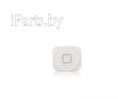 Кнопка Home для iPhone5 БЕЛЫЙ copy